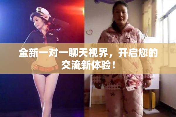 全新一对一聊天视界，开启您的交流新体验！