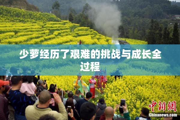 少萝经历了艰难的挑战与成长全过程