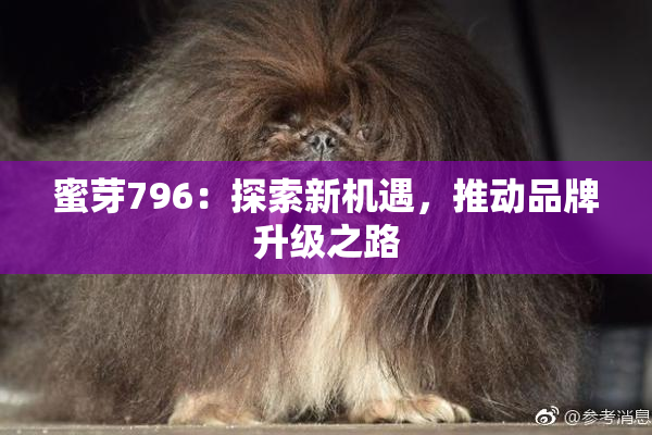 蜜芽796：探索新机遇，推动品牌升级之路