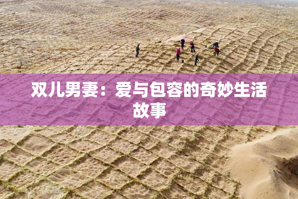 双儿男妻：爱与包容的奇妙生活故事