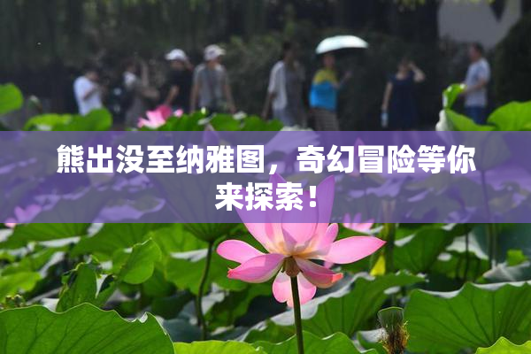 熊出没至纳雅图，奇幻冒险等你来探索！