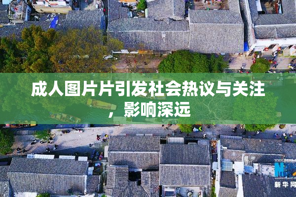 成人图片片引发社会热议与关注，影响深远
