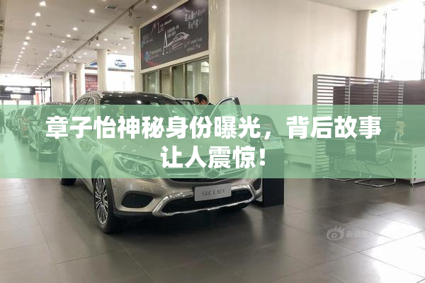 章子怡神秘身份曝光，背后故事让人震惊！