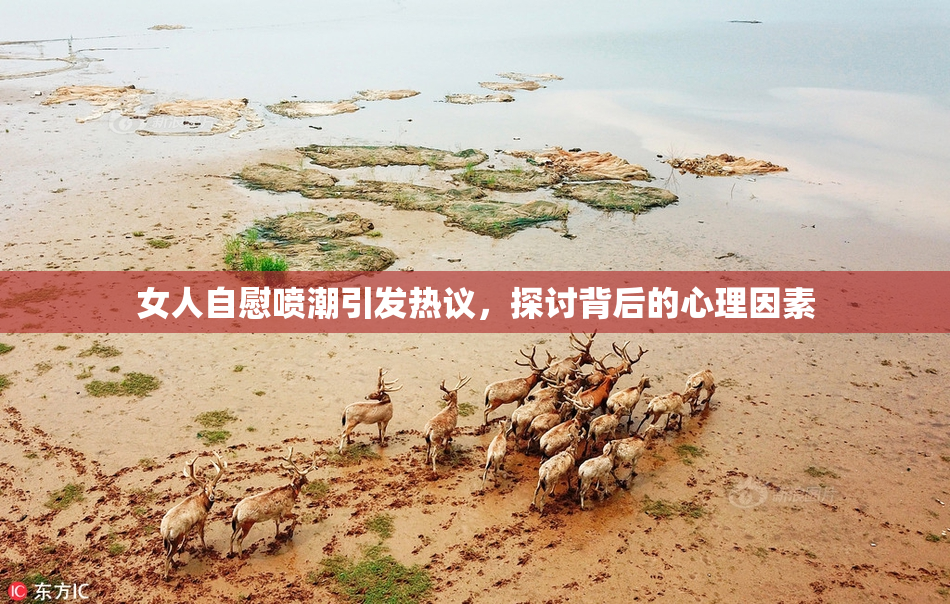 女人自慰喷潮引发热议，探讨背后的心理因素