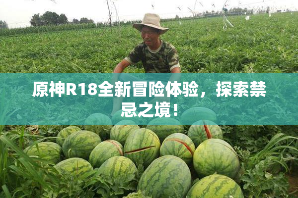 原神R18全新冒险体验，探索禁忌之境！