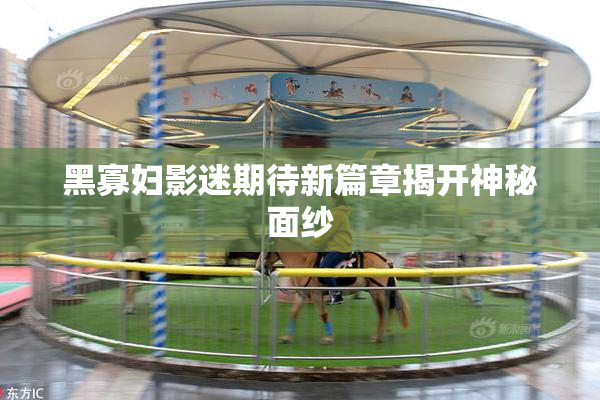 黑寡妇影迷期待新篇章揭开神秘面纱