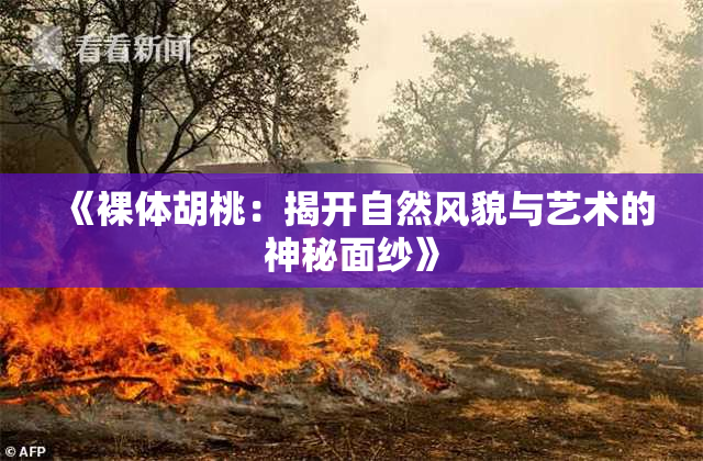 《裸体胡桃：揭开自然风貌与艺术的神秘面纱》