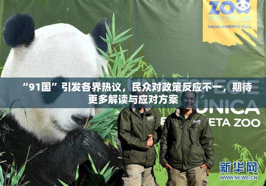 “91国”引发各界热议，民众对政策反应不一，期待更多解读与应对方案