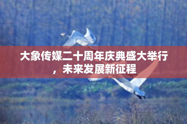 大象传媒二十周年庆典盛大举行，未来发展新征程