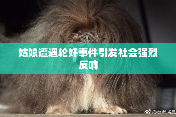 姑娘遭遇轮奸事件引发社会强烈反响