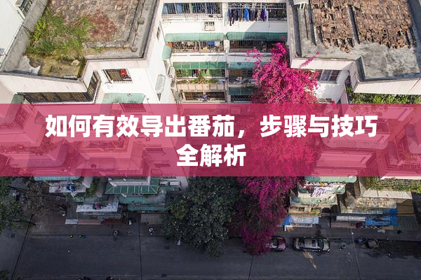 如何有效导出番茄，步骤与技巧全解析