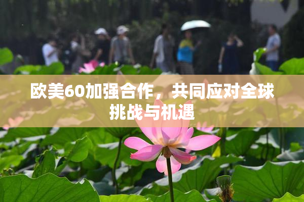 欧美60加强合作，共同应对全球挑战与机遇