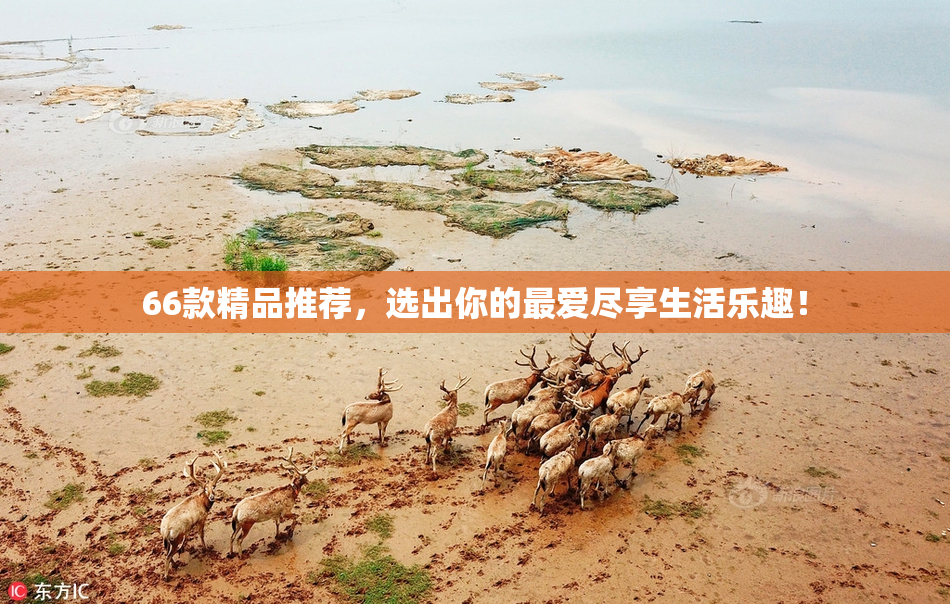 66款精品推荐，选出你的最爱尽享生活乐趣！
