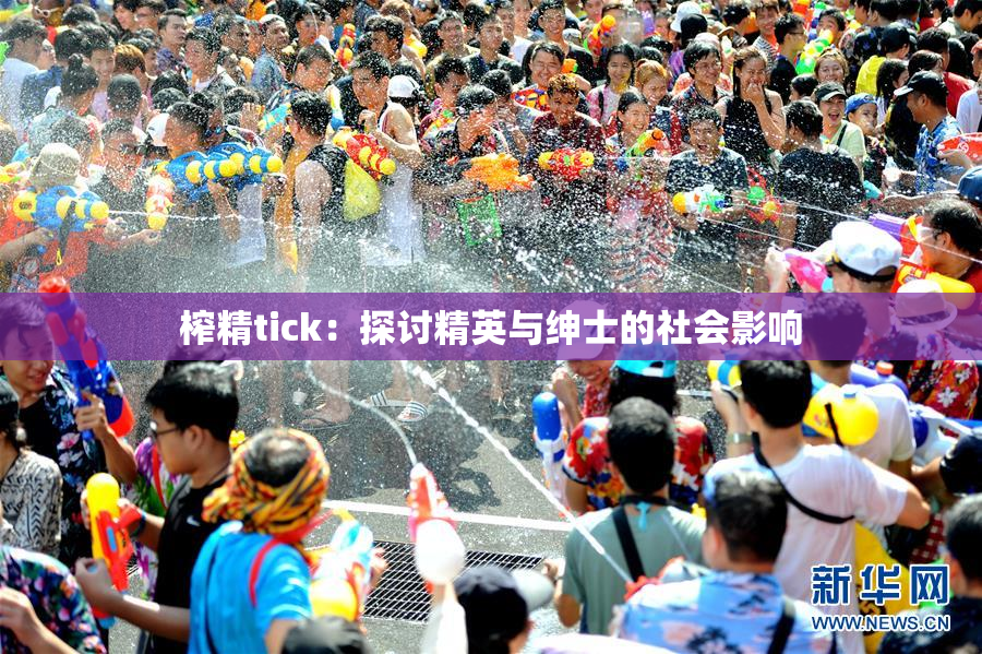 榨精tick：探讨精英与绅士的社会影响