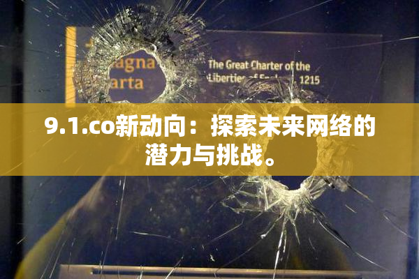 9.1.co新动向：探索未来网络的潜力与挑战。