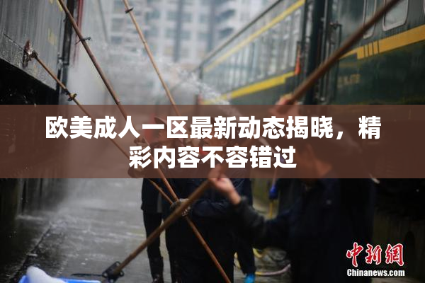 欧美成人一区最新动态揭晓，精彩内容不容错过