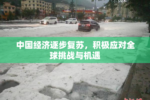 中国经济逐步复苏，积极应对全球挑战与机遇