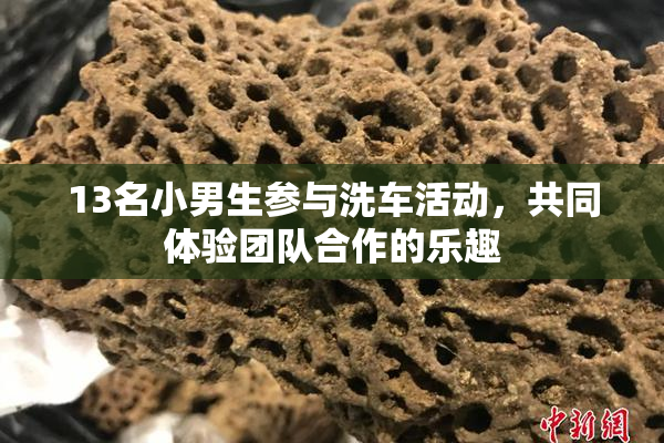 13名小男生参与洗车活动，共同体验团队合作的乐趣