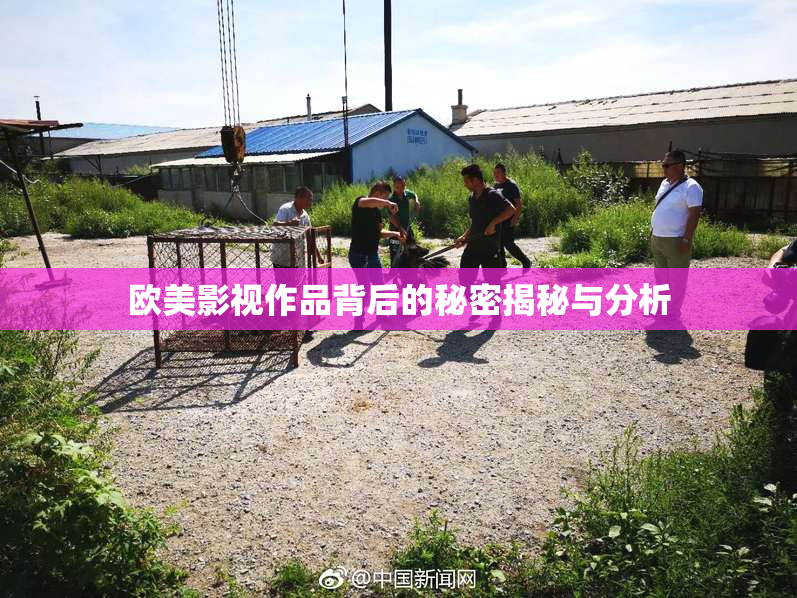 欧美影视作品背后的秘密揭秘与分析