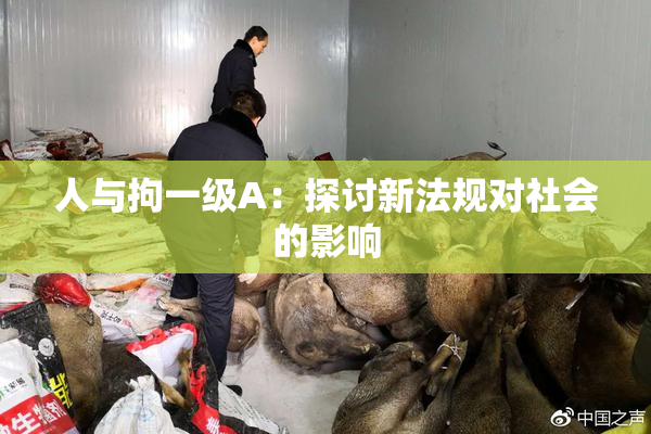 人与拘一级A：探讨新法规对社会的影响