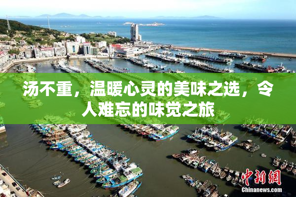 汤不重，温暖心灵的美味之选，令人难忘的味觉之旅