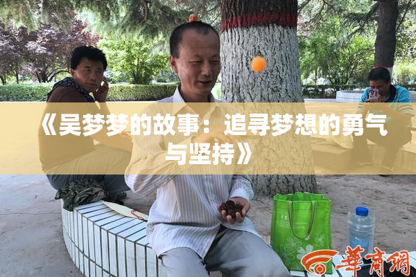 《吴梦梦的故事：追寻梦想的勇气与坚持》
