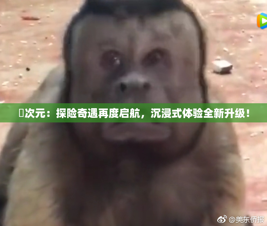 囧次元：探险奇遇再度启航，沉浸式体验全新升级！