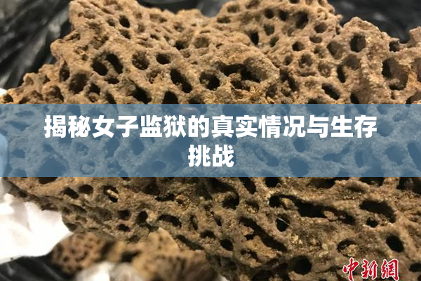 揭秘女子监狱的真实情况与生存挑战