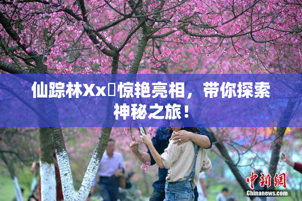 仙踪林Xx乂惊艳亮相，带你探索神秘之旅！