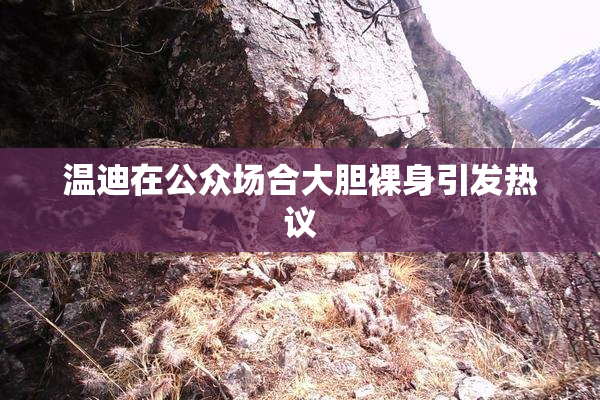 温迪在公众场合大胆裸身引发热议