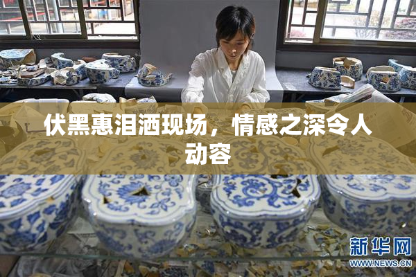 伏黑惠泪洒现场，情感之深令人动容