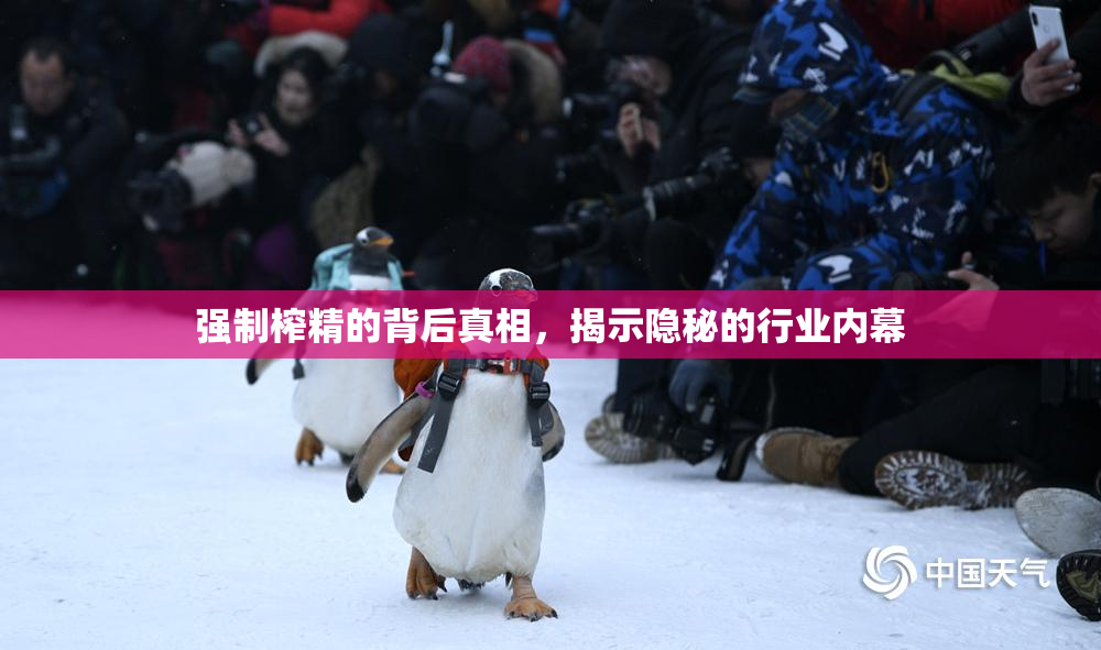 强制榨精的背后真相，揭示隐秘的行业内幕