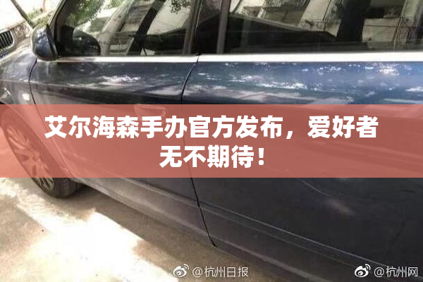 艾尔海森手办官方发布，爱好者无不期待！