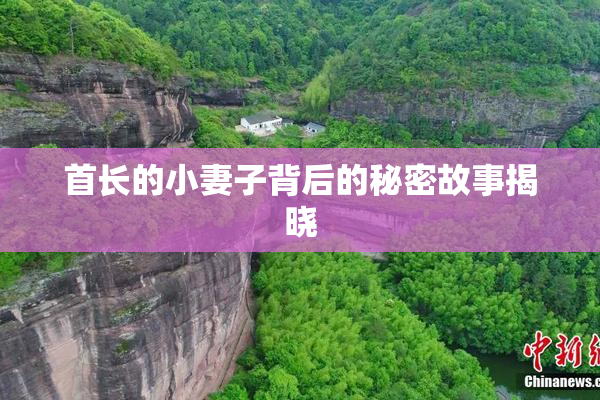 首长的小妻子背后的秘密故事揭晓