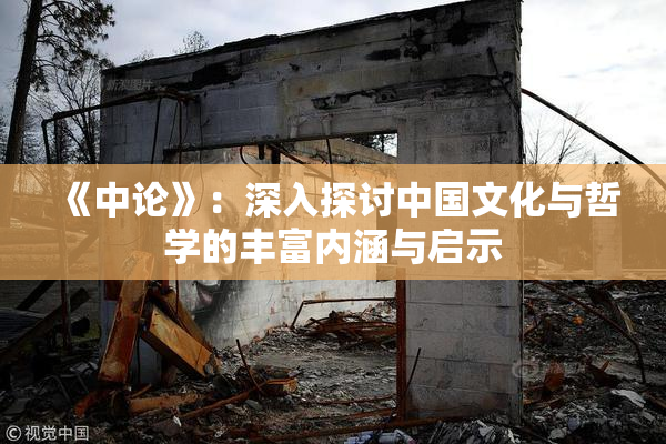 《中论》：深入探讨中国文化与哲学的丰富内涵与启示