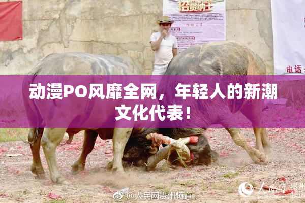 动漫PO风靡全网，年轻人的新潮文化代表！