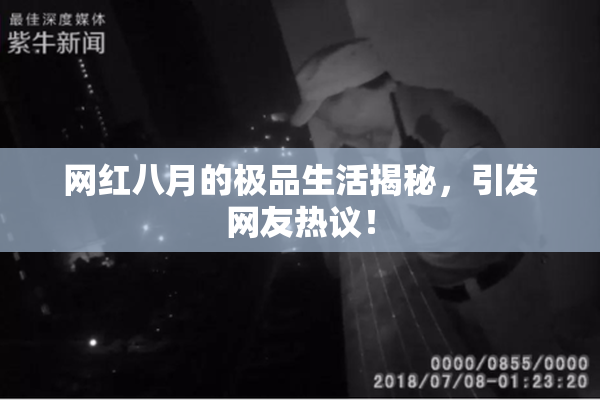 网红八月的极品生活揭秘，引发网友热议！