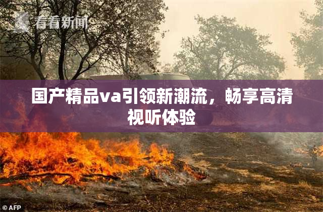 国产精品va引领新潮流，畅享高清视听体验