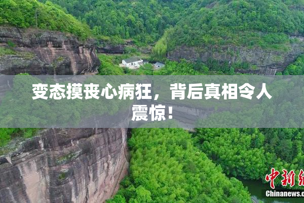 变态摸丧心病狂，背后真相令人震惊！