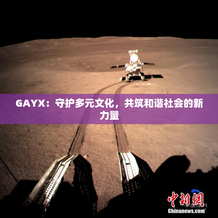GAYX：守护多元文化，共筑和谐社会的新力量