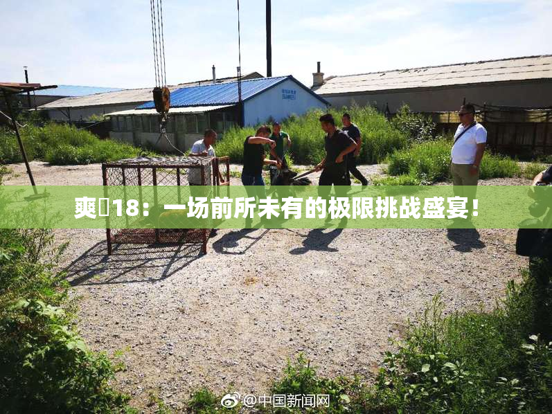 爽擼18：一场前所未有的极限挑战盛宴！