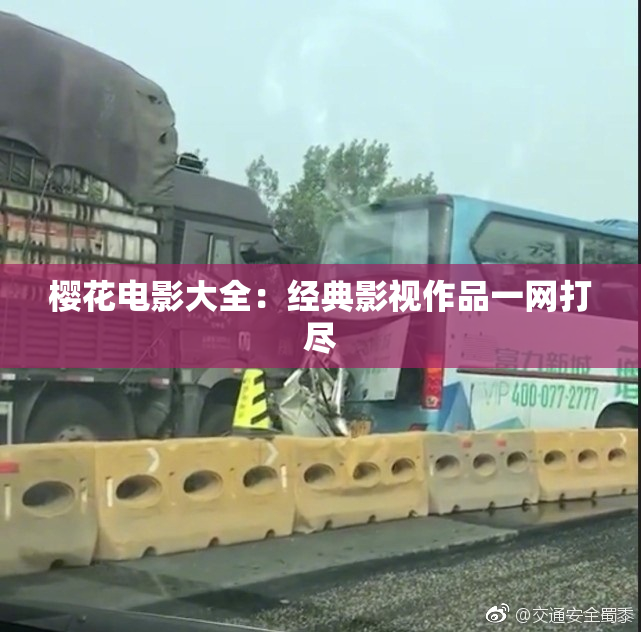 樱花电影大全：经典影视作品一网打尽