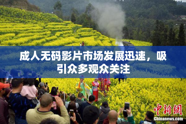 成人无码影片市场发展迅速，吸引众多观众关注