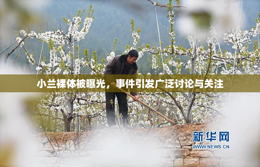 小兰裸体被曝光，事件引发广泛讨论与关注