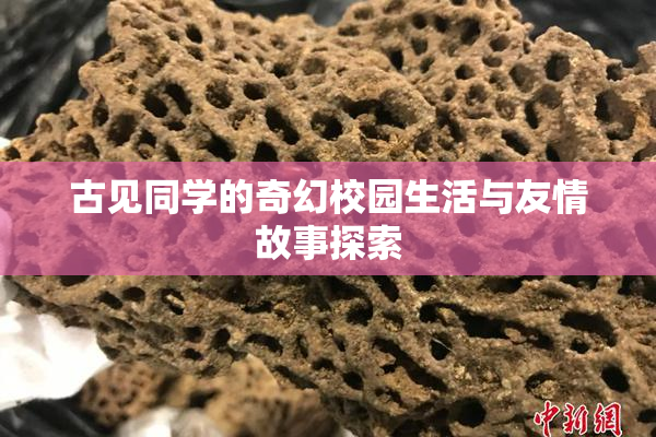 古见同学的奇幻校园生活与友情故事探索