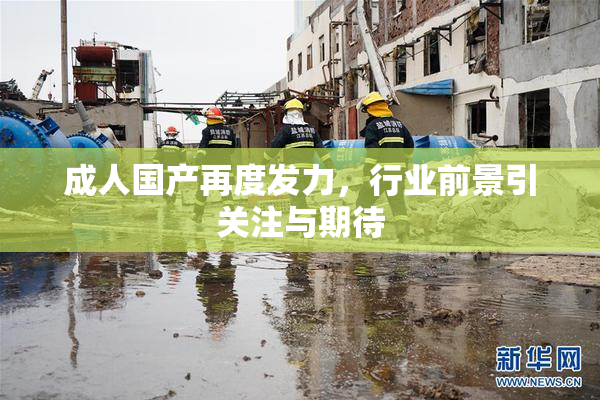 成人国产再度发力，行业前景引关注与期待