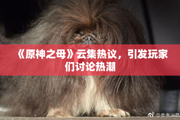 《原神之母》云集热议，引发玩家们讨论热潮