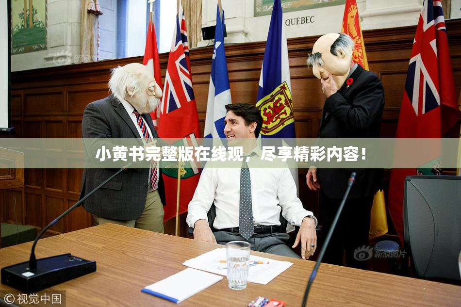 小黄书完整版在线观，尽享精彩内容！