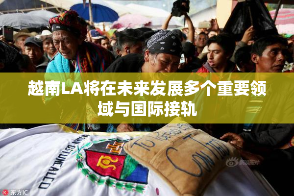 越南LA将在未来发展多个重要领域与国际接轨