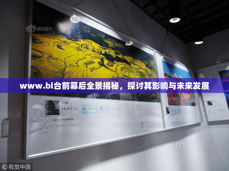 www.bl台前幕后全景揭秘，探讨其影响与未来发展